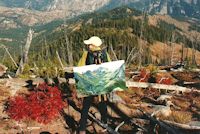 Jan Cook Mack Painting At Wedge Mountain